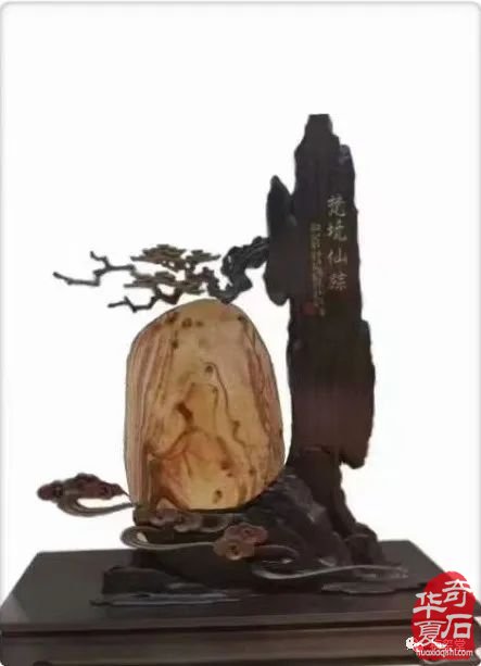 梅玺堂//全国奇石免费展示图（第102期）