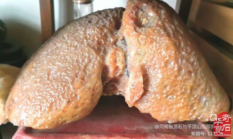 古代赏石理念＂瘦漏透绉”再解 图