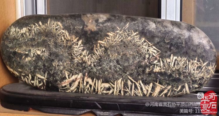 古代赏石理念＂瘦漏透绉”再解 图