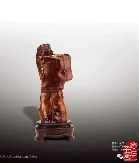 梅玺堂//全国奇石免费展示图(第103期上)