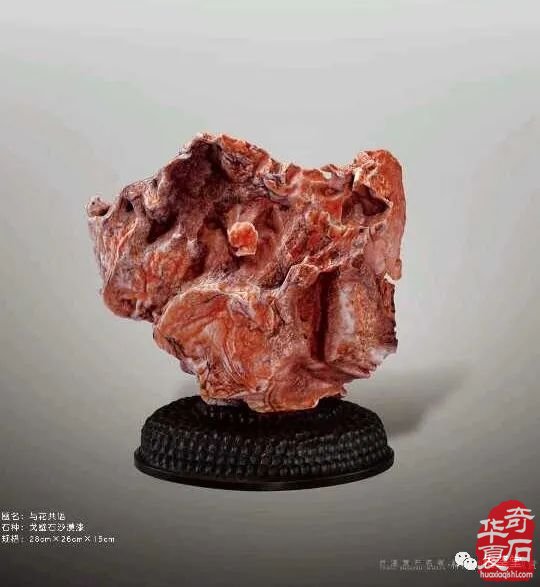 梅玺堂//全国奇石免费展示图(第103期上)