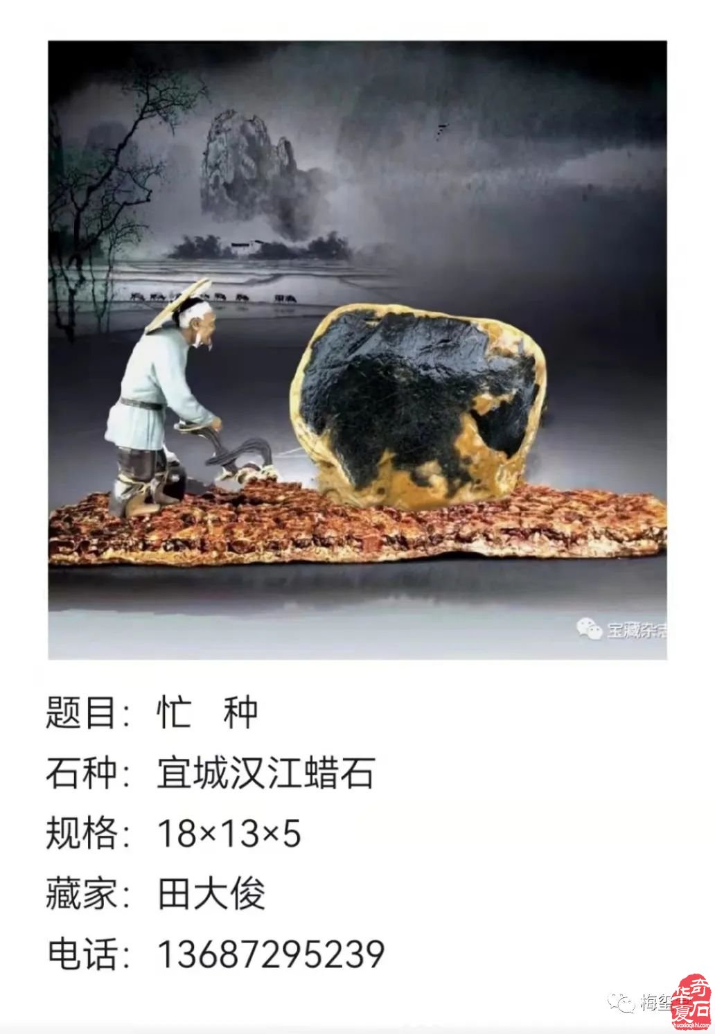 梅玺堂//全国奇石免费展示图(第103期上)
