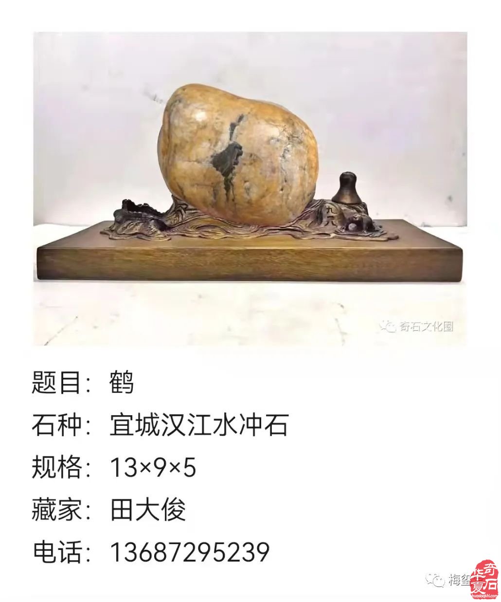 梅玺堂//全国奇石免费展示图(第103期上)