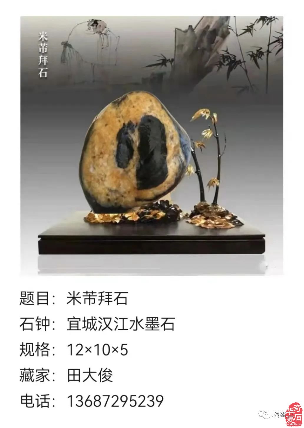 梅玺堂//全国奇石免费展示图(第103期上)