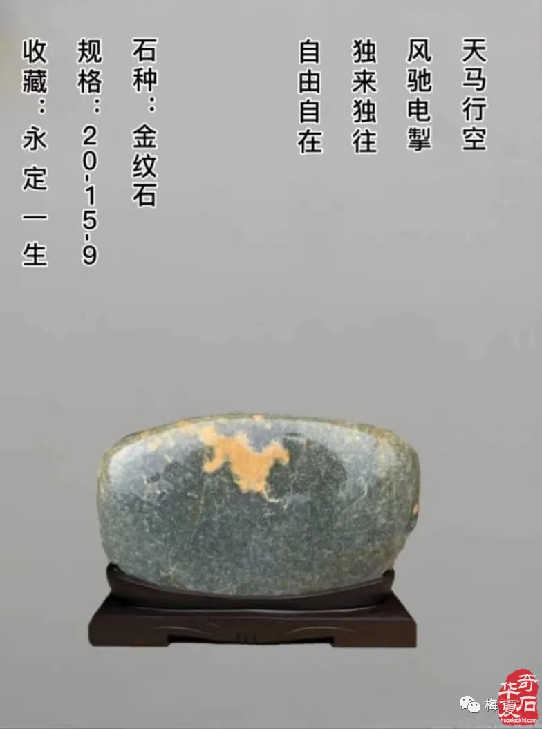 梅玺堂//全国奇石免费展示图(第103期上)