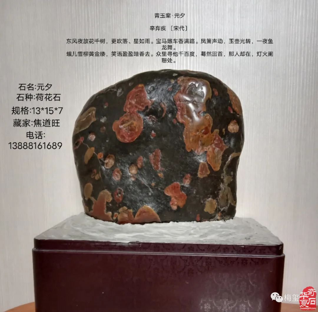 梅玺堂//全国奇石免费展示图(第103期上)