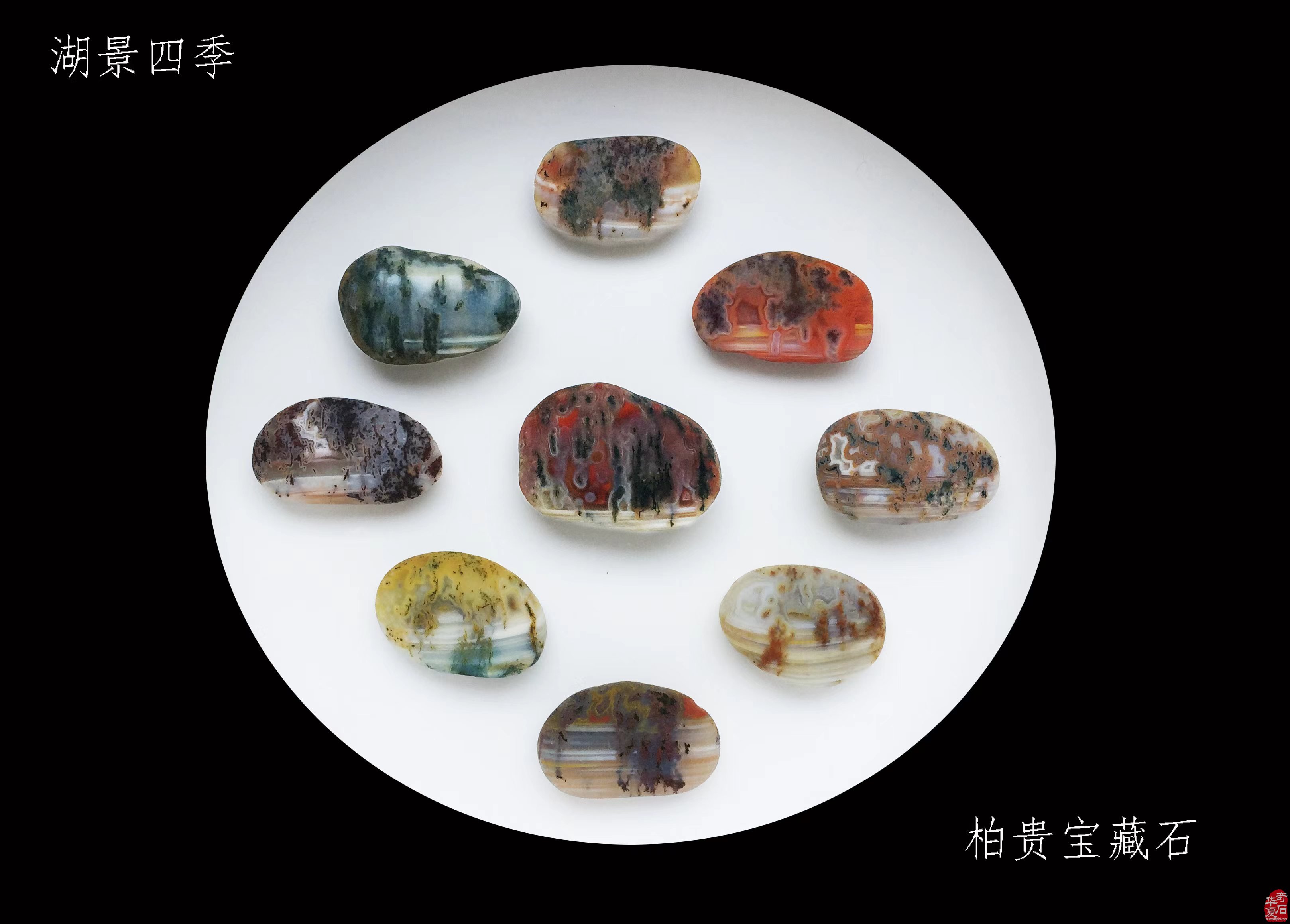 娇艳柔美的石中皇后收藏之乐 图