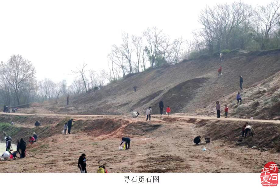 娇艳柔美的石中皇后收藏之乐 图