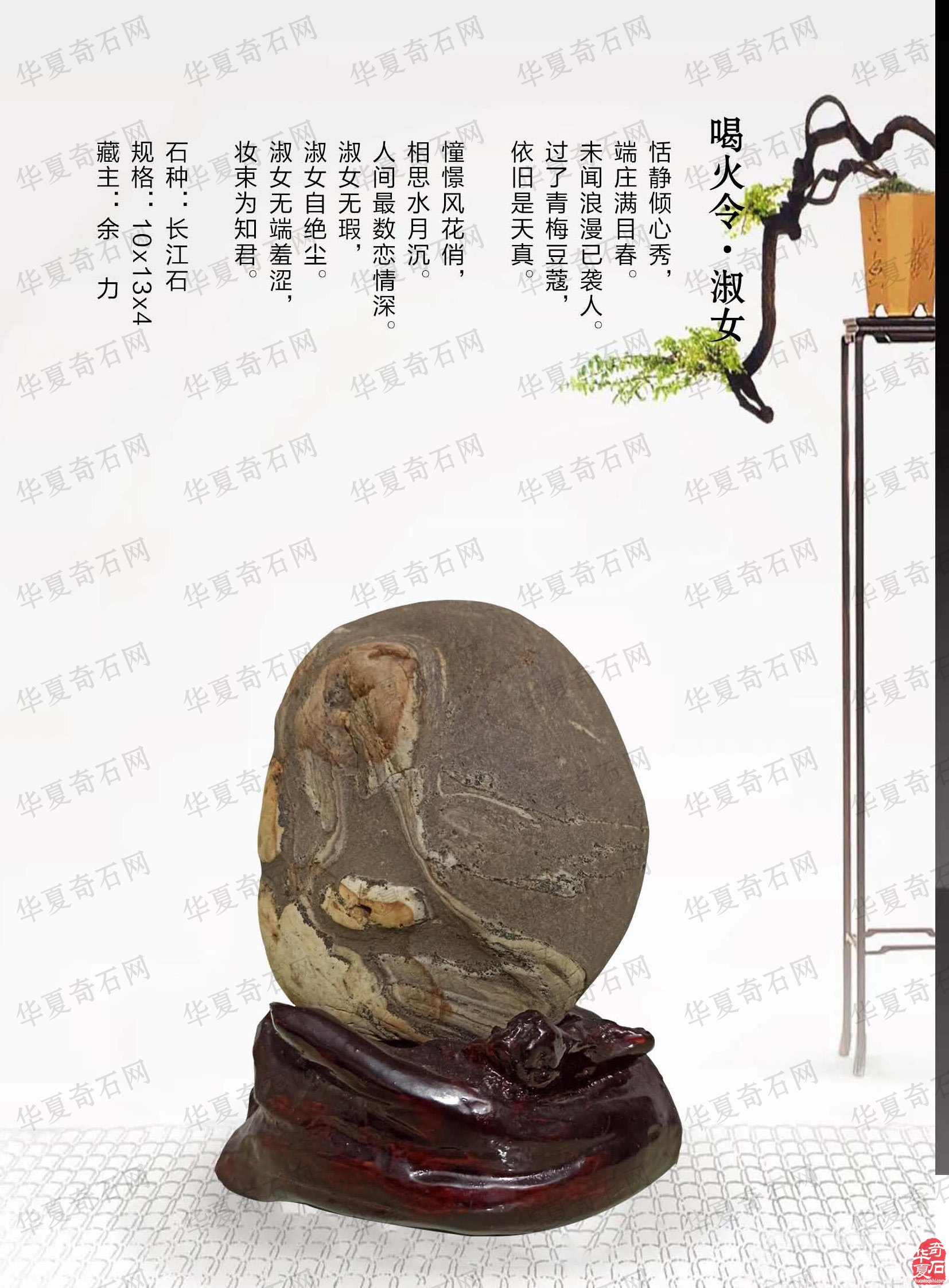 横空出世奇石跃然《于公赏石》杂志
