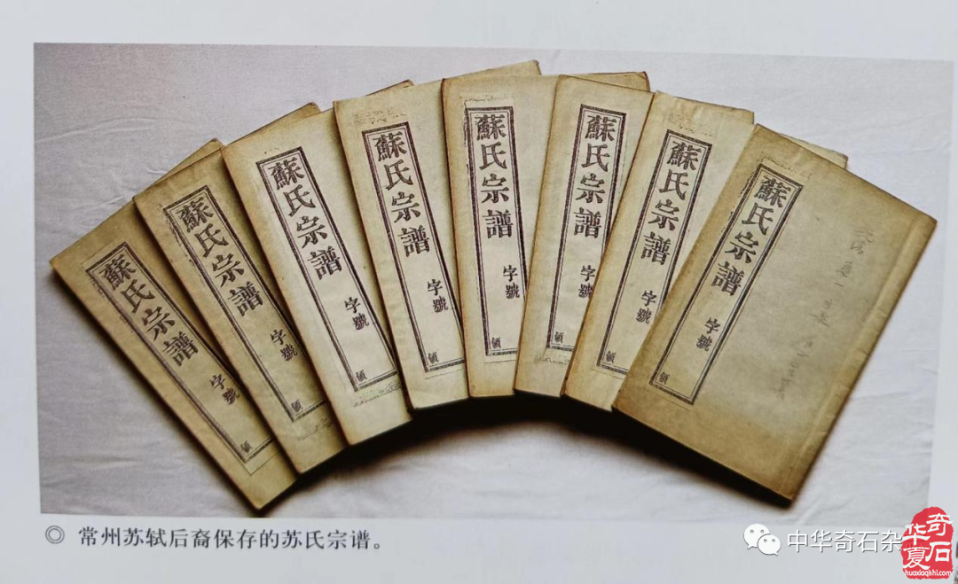 文甡 | 文人与石——苏叔党