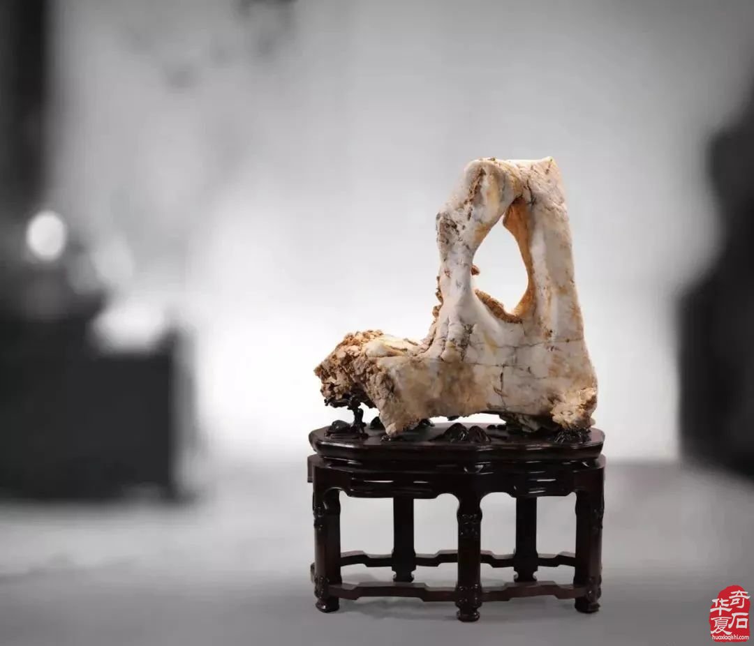 观赏石发现的不只是艺术更是价值
