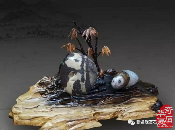观赏石发现的不只是艺术更是价值