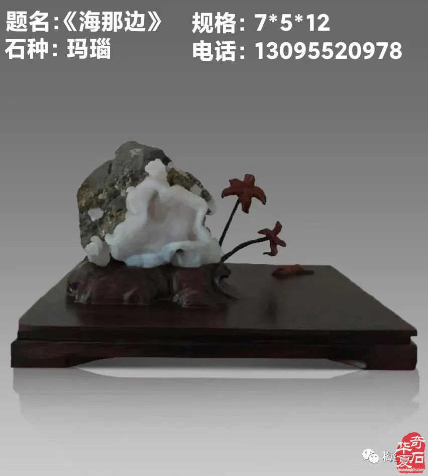 梅玺堂//全国奇石免费展示图(第104期)