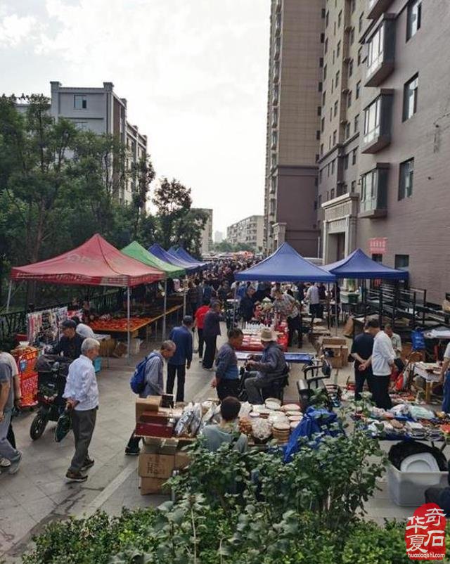 9.25中国·山西首届“小井峪杯”太原赏石文化博览会