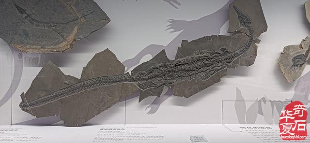 与石对话,穿越古今
