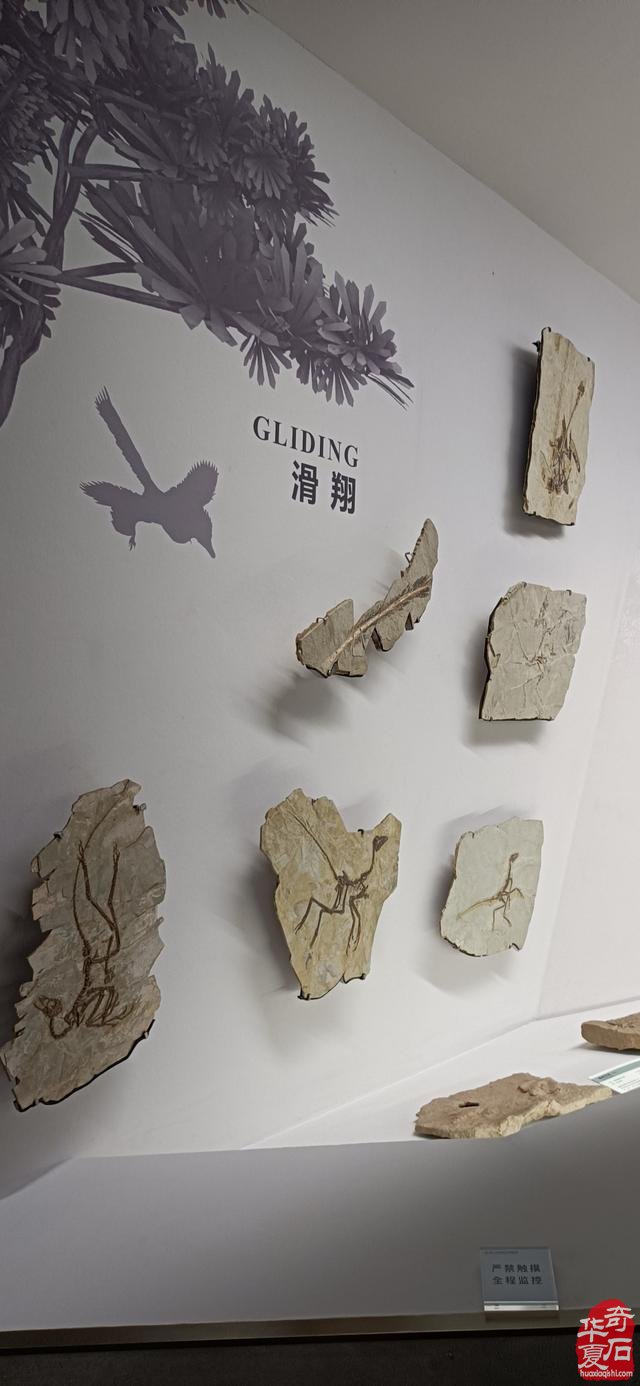 与石对话,穿越古今
