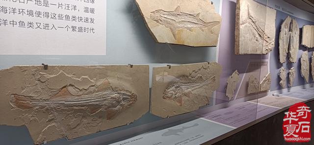 与石对话,穿越古今