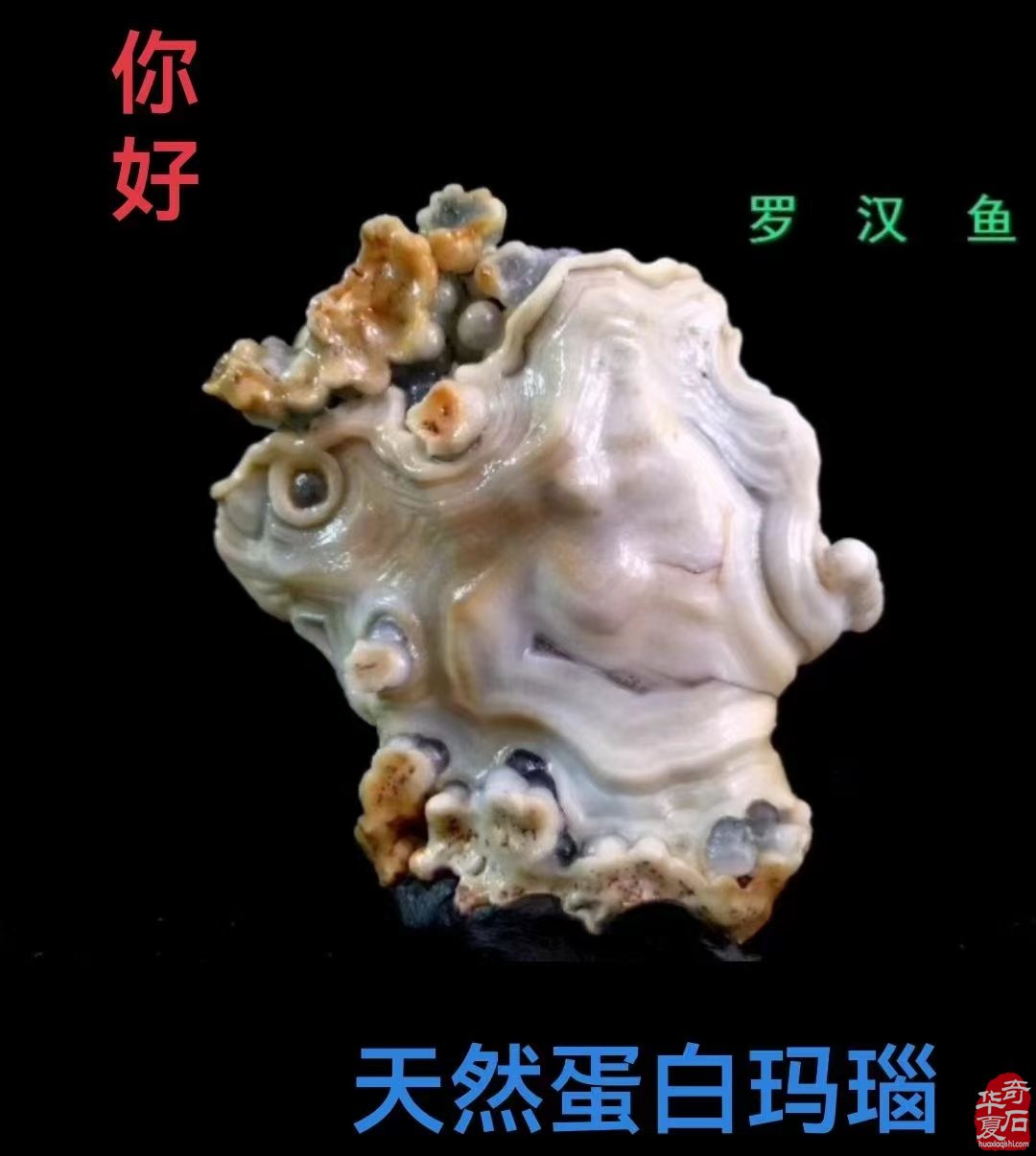 不一样的赏石理念会有不一样的结果