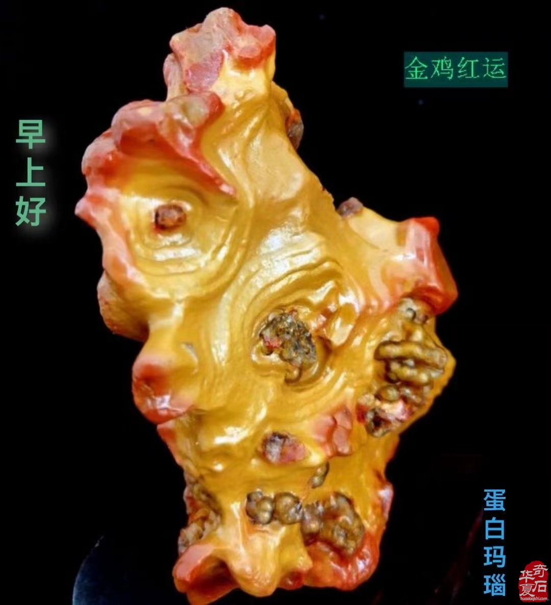 不一样的赏石理念会有不一样的结果