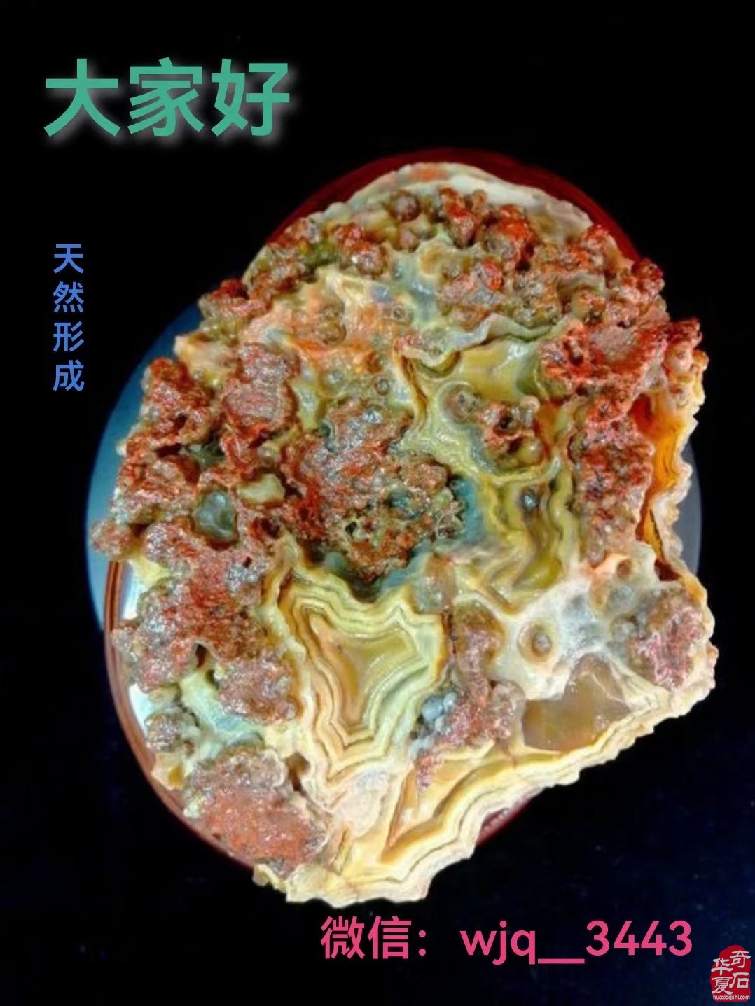 不一样的赏石理念会有不一样的结果