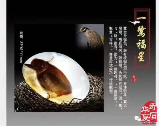 梅玺堂//全国奇石免费展示图(第105期)