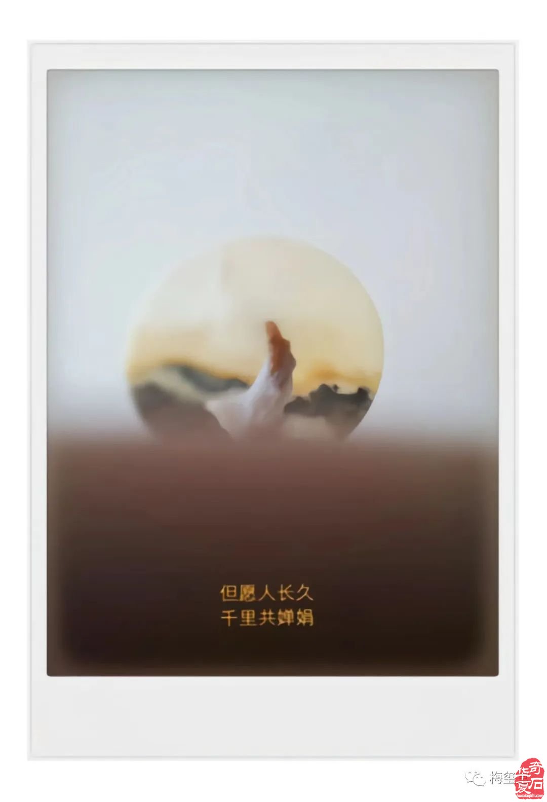 梅玺堂//全国奇石免费展示图(第105期)