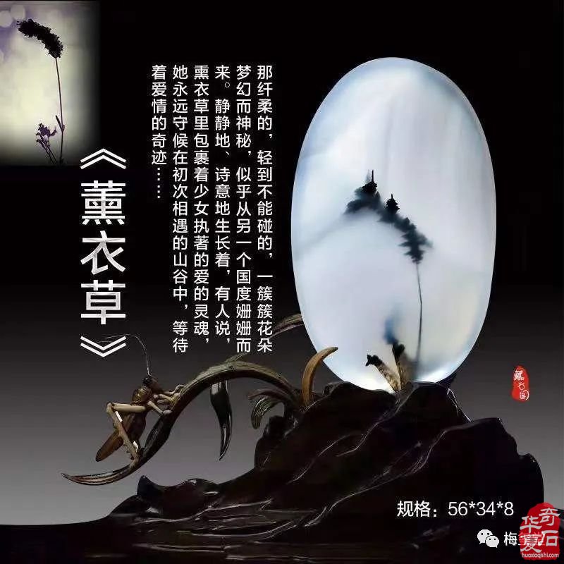 梅玺堂//全国奇石免费展示图(第105期)