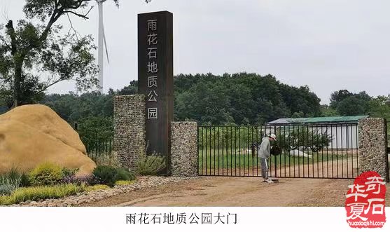 不同寻常重阳节，探寻雨花前世源