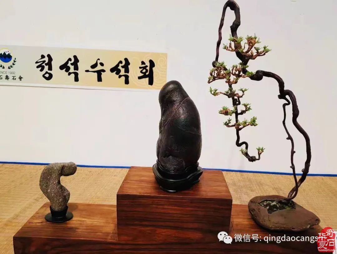 韩国仁川寿石人总会举办的《韩国仁川寿石人总会第38回会员展》盛大开幕！可喜可贺！