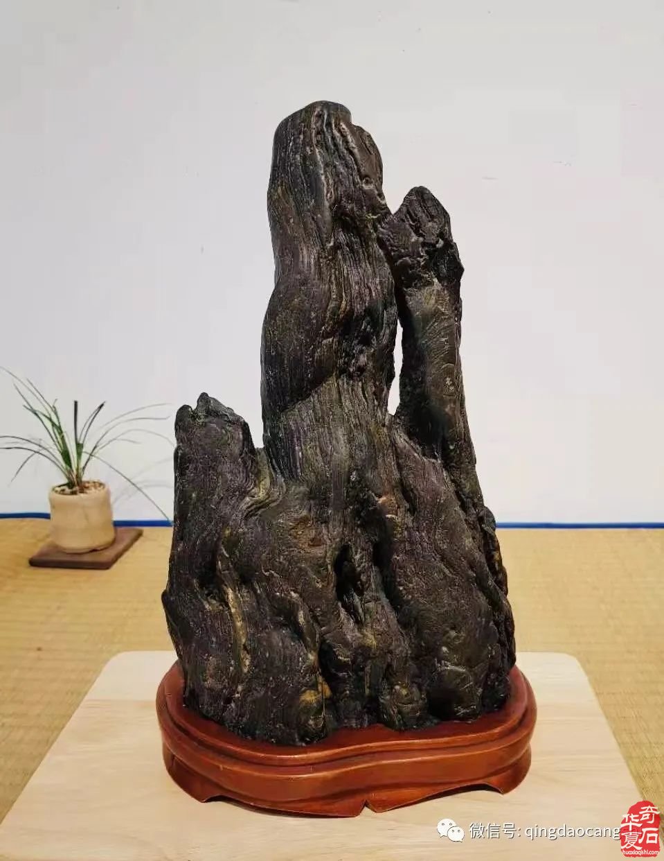 韩国仁川寿石人总会举办的《韩国仁川寿石人总会第38回会员展》盛大开幕！可喜可贺！