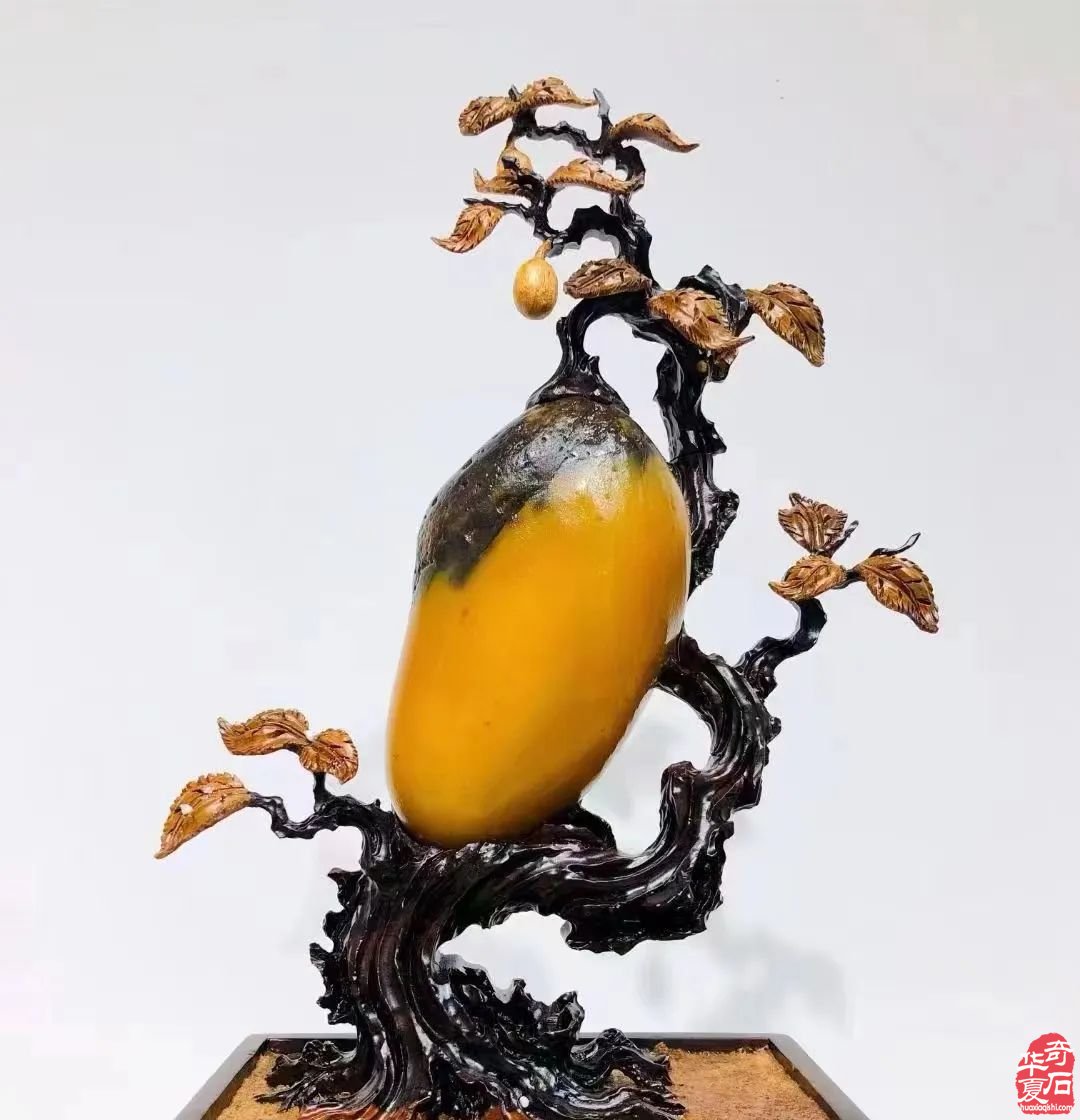 我是谁?我要去哪?我是玩石头滴,我要去杭州石展!