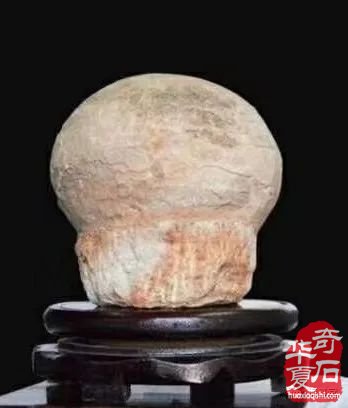 梅玺堂//全国奇石免费展示图(第106期)