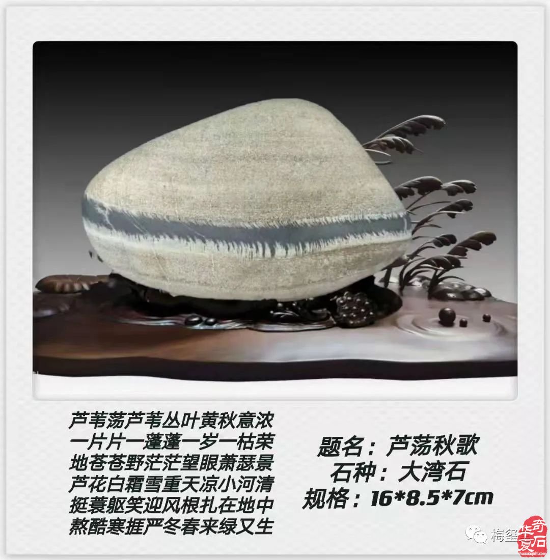 梅玺堂//全国奇石免费展示图(第106期)