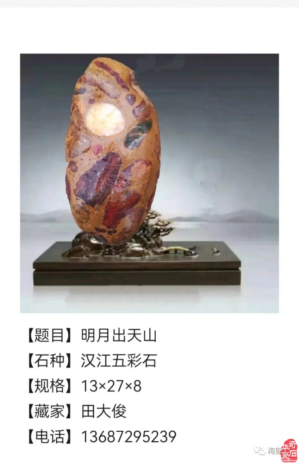 梅玺堂//全国奇石免费展示图(第106期)