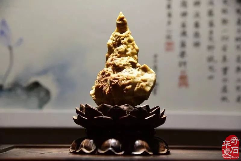 老了,开间奇石馆,足哉!美哉!