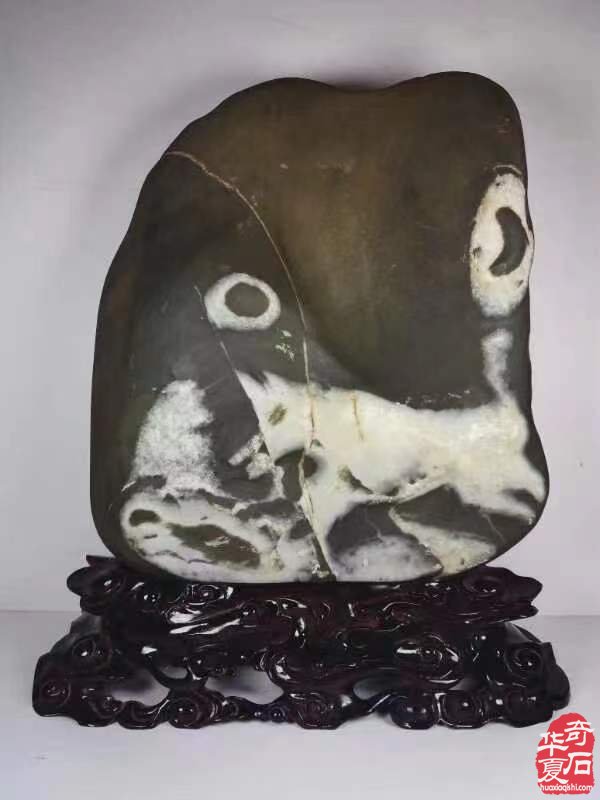 欣赏动物类画面石 | 我为动物谱华章(3)