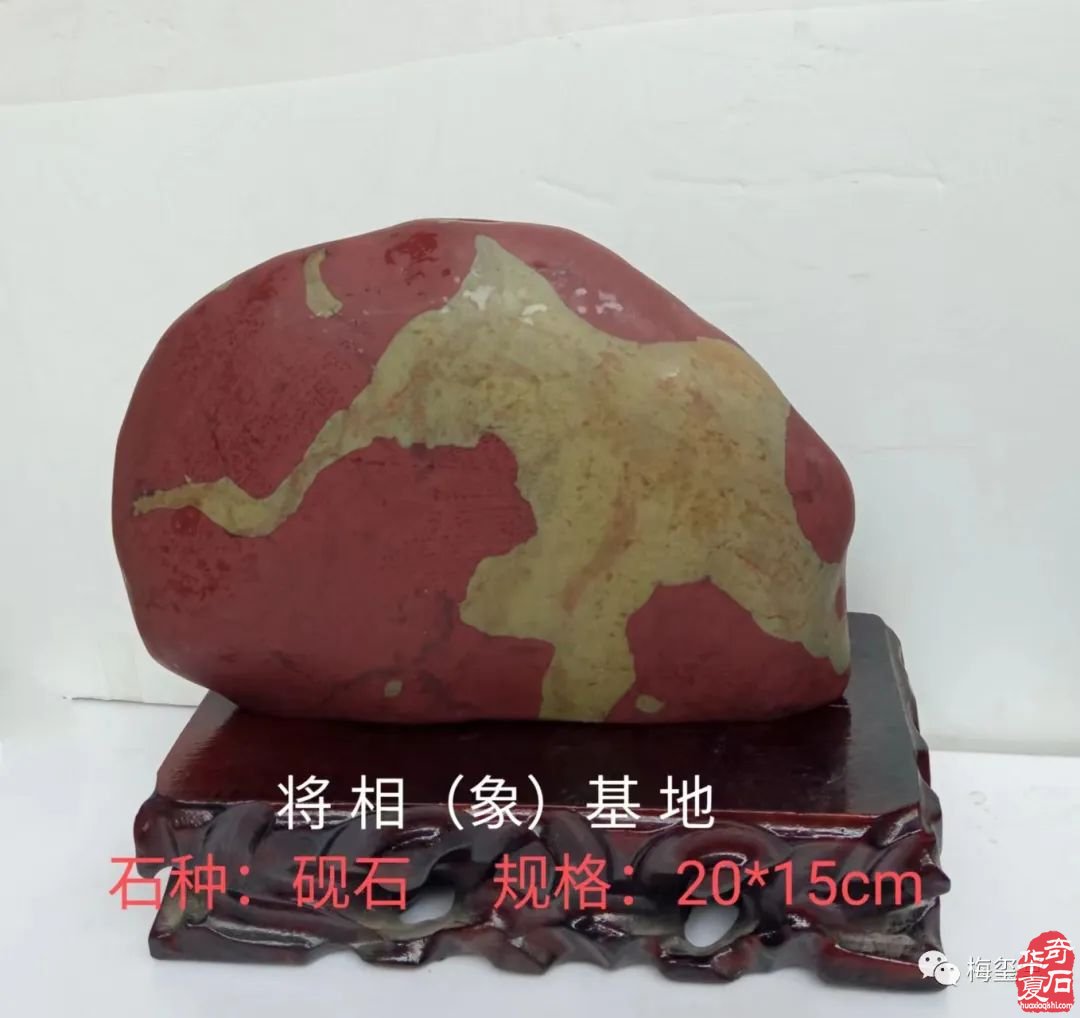 梅玺堂//全国奇石免费展示图（第107期）
