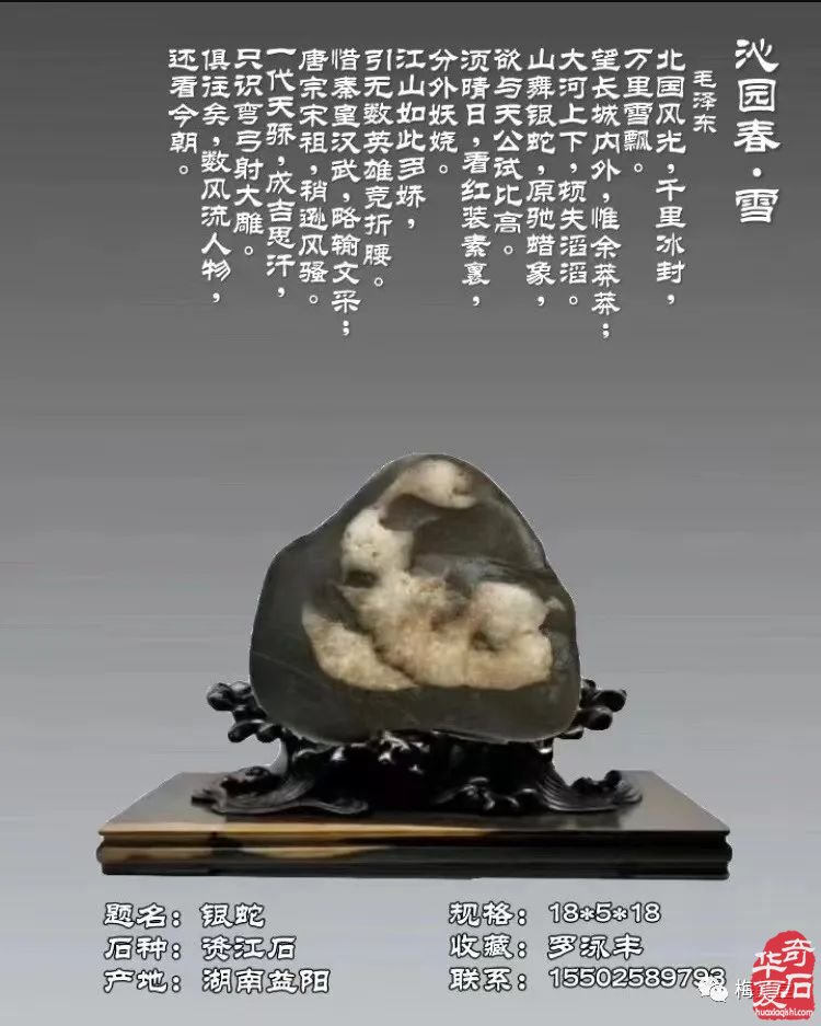 梅玺堂//全国奇石免费展示图（第107期）