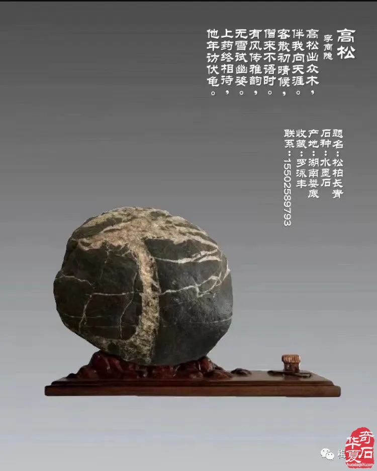 梅玺堂//全国奇石免费展示图（第107期）