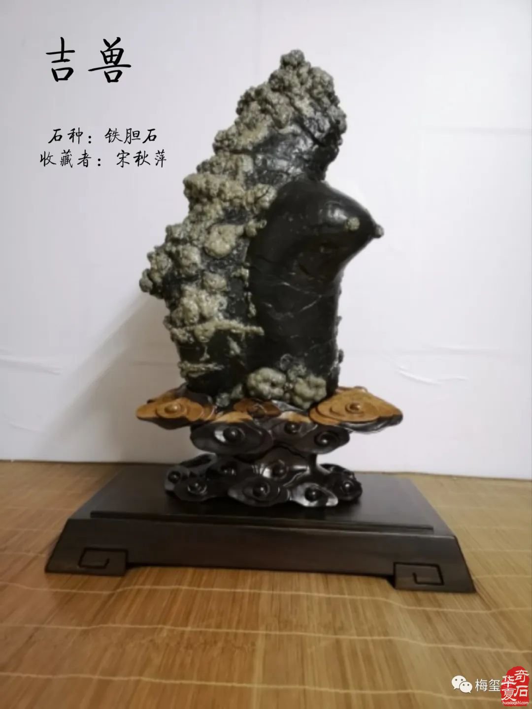梅玺堂//全国奇石免费展示图（第107期）