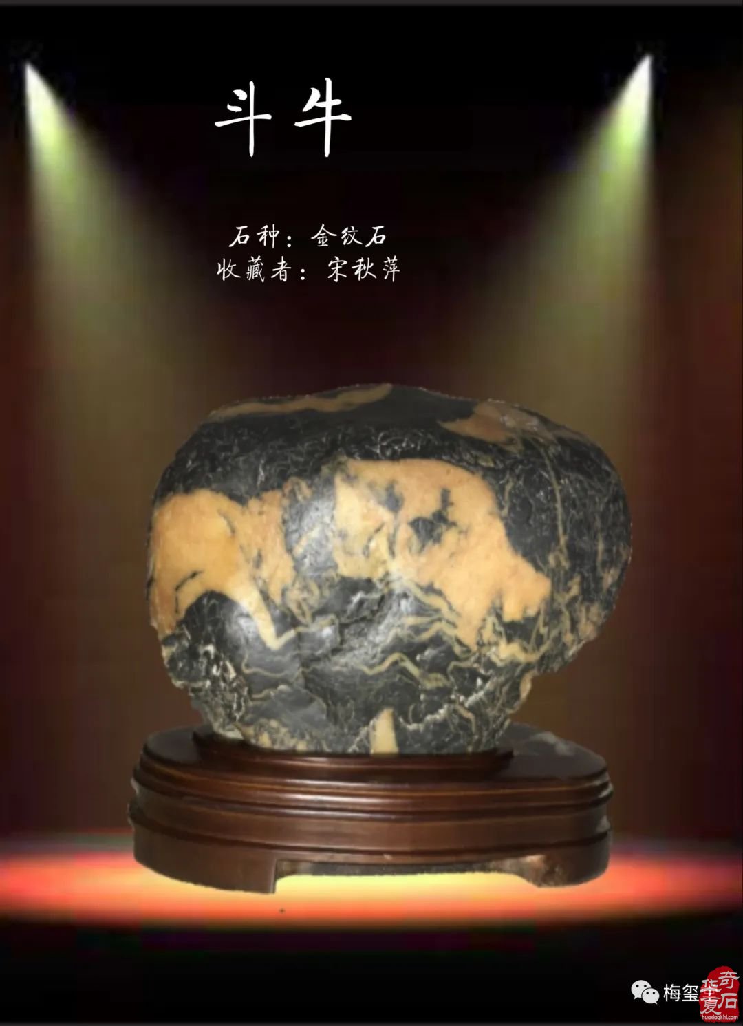 梅玺堂//全国奇石免费展示图（第107期）