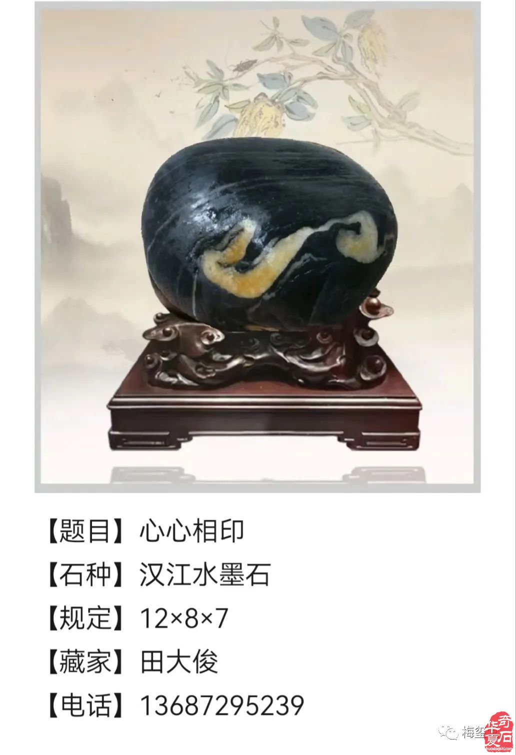 梅玺堂//全国奇石免费展示图（第107期）