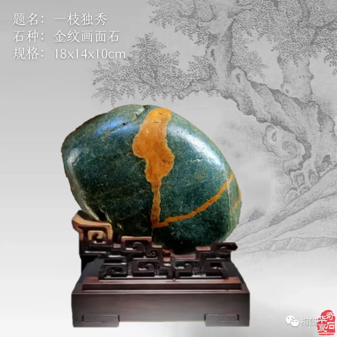 梅玺堂//全国奇石免费展示图（第107期）