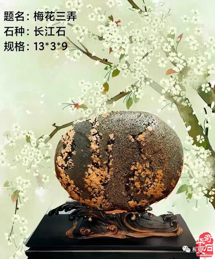 梅玺堂//全国奇石免费展示图（第107期）