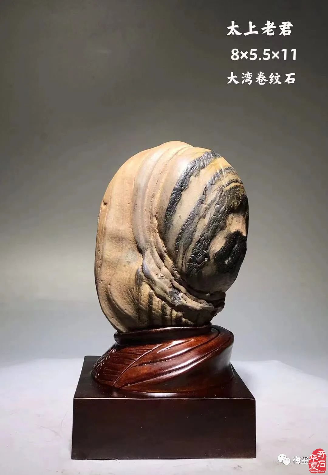 梅玺堂//全国奇石免费展示图（第107期）