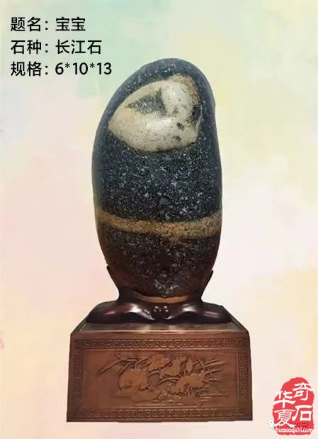 梅玺堂//全国奇石免费展示图（第107期）