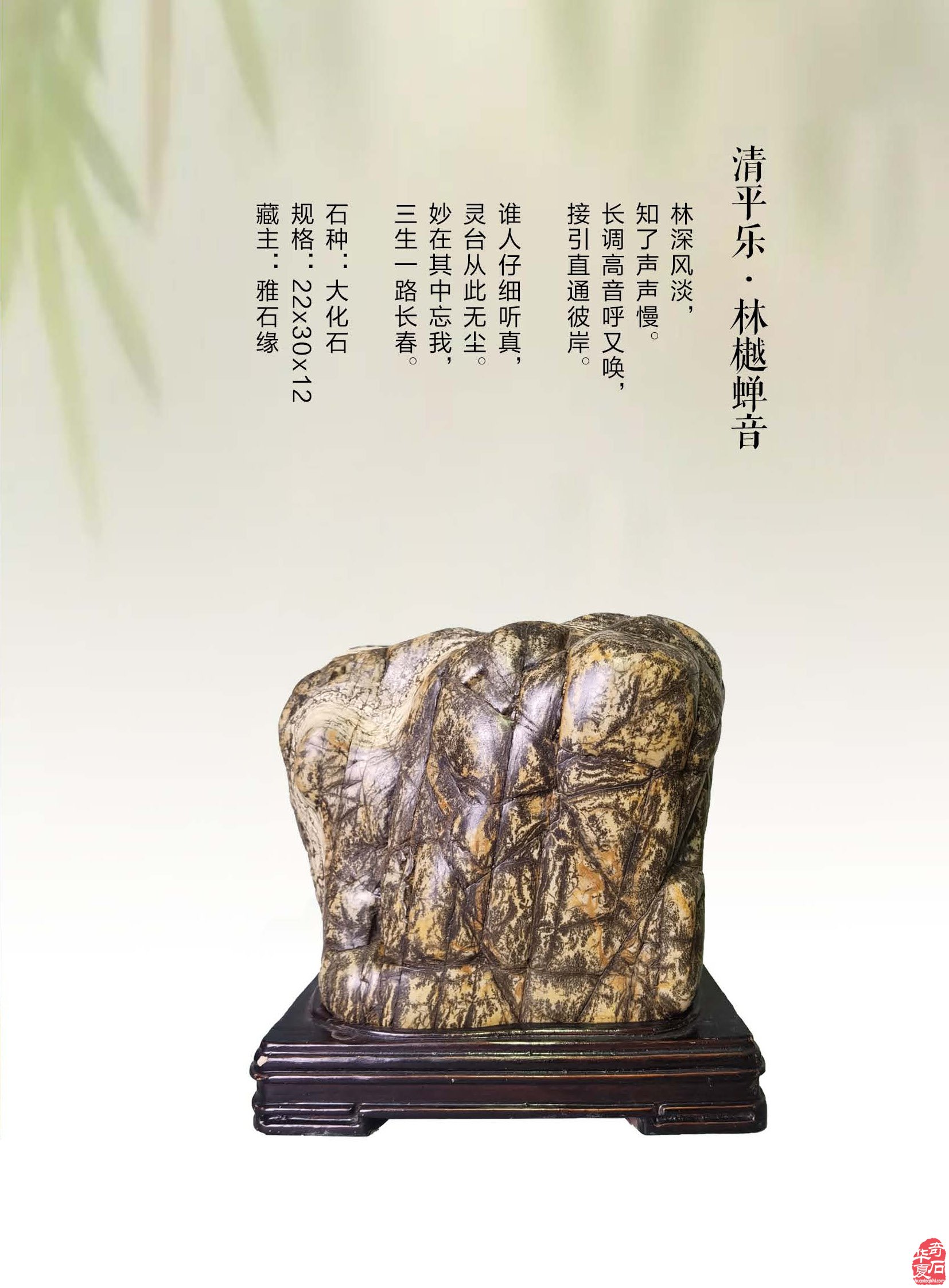 看《于公赏石》杂志听名家说米芾的赏石朋友圈