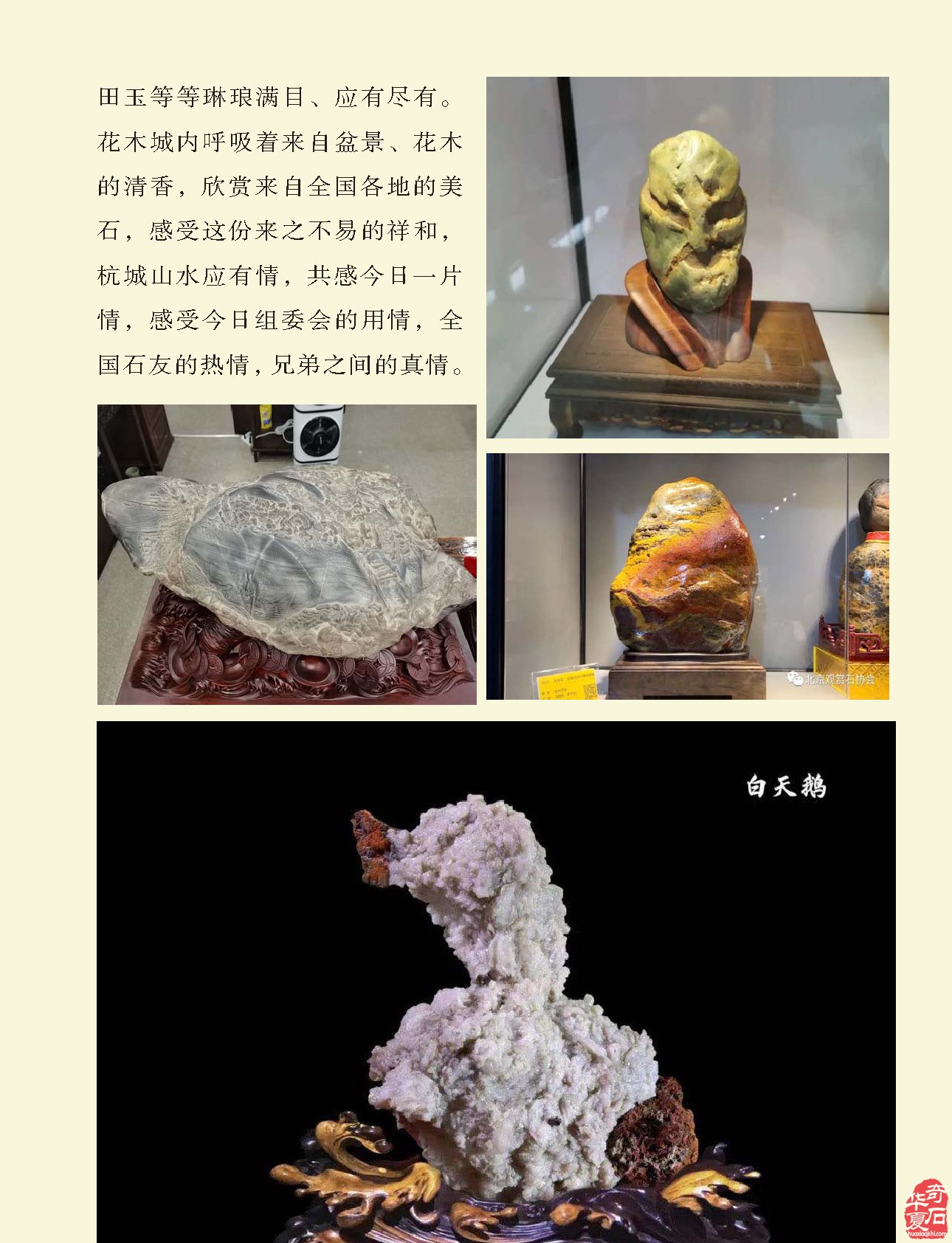 看《于公赏石》杂志听名家说米芾的赏石朋友圈