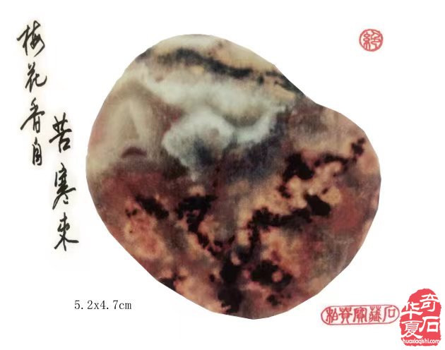 雨花石上寄哀思 图
