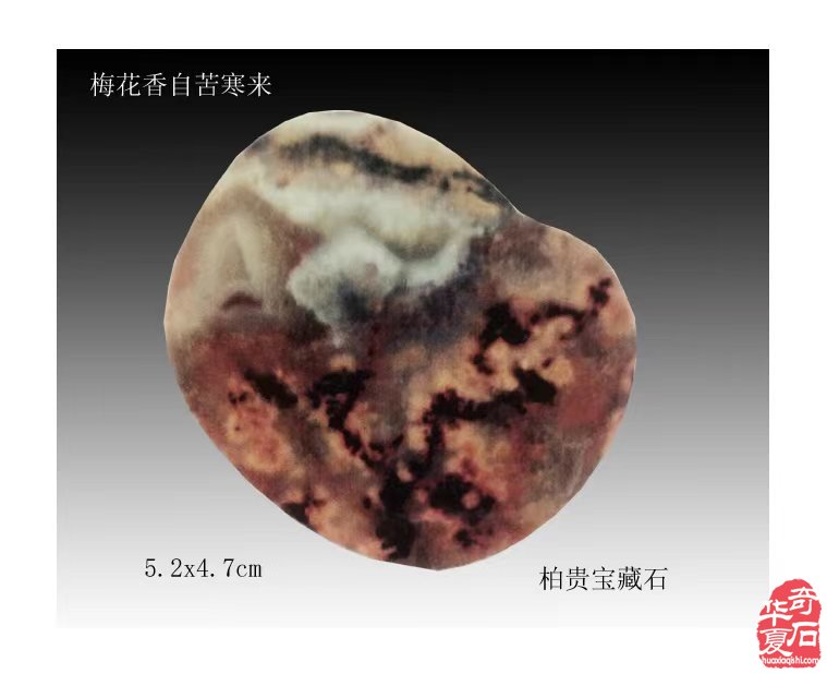 雨花石上寄哀思 图